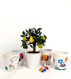 KIDS PACK 12cm