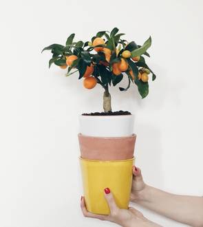Ceramic pot 
