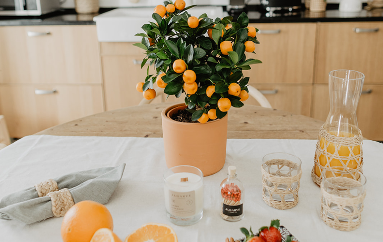 Benefits of Citrus fruits