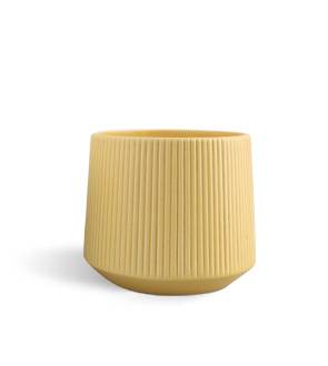 Matte Ceramic Vase