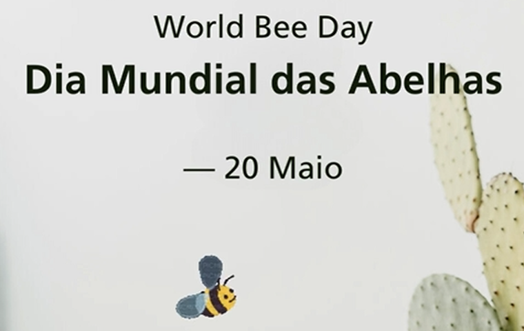 The importance of bees
