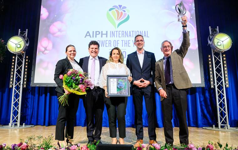 Citrina wins Silver in Sustainability category 
